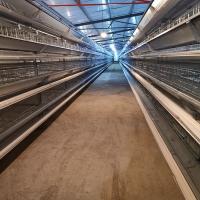 China Laying Chicken Layer Egg Battery Cage System For Laying Hens on sale