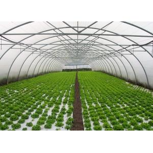 Small Area Single Tunnel Greenhouse Easy Install For Nursery / Flower Farming