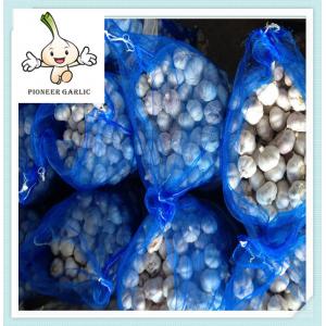 4.5cm-5.cm,5.cm-6cm,6cm up Pure white garlic/white garlic /organic garlic export