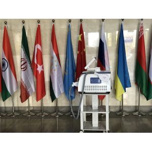 China Máquina de APL1 IPL Shr, máquina BRITÁNICA de la luz IPL de la lámpara de xenón E conveniente a todos los tipos de pieles supplier