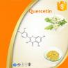 Quercetin Dihydrate Granular No Irradiation Powder Used In Nutraceuticals