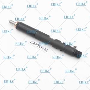 China ERIKC EJBR01302Z Electric Fuel Pump Injector EJBR0 1302Z Engine Injection EJB R01302Z for FORD supplier