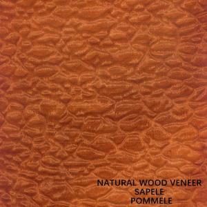Africa Natural Sapele Wood Veneer Exotic Grain Pommele For Pianos And Furniture Faces