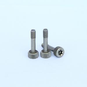 Anti Theft Tamper Proof Screws SS304 Security 6 Lobe Pin TX Drive Cap Captive Temper Proof Torx Screw