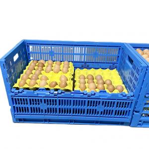 Farm Storage Solution PP Egg Plastic Crate with 8/12/14 Trays Mesh Box Style Customized