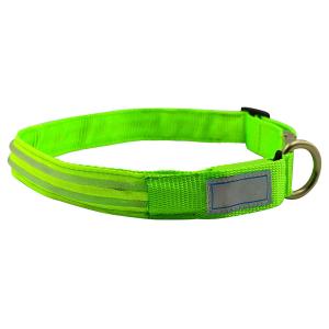 Metal Buckle LED Dog Collar USB Rechargeable Maximize Dog's Visibility
