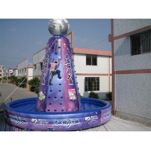 China Violet Giant Inflatable Sports Games Amusement Park Equipment Violet supplier