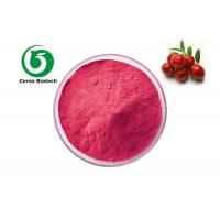 China 99% Freeze Dried Organic Cranberry Juice Powder Bulk Beverages Use on sale