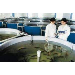 Corrosion Resistance Fiberglass Fish Tank