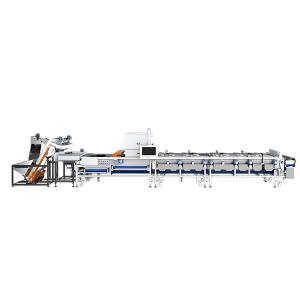 China 2-4 Ton Output 6-12 Feed Lanes New Issued High Speed Dates Sorting Machine With CE Certificate supplier