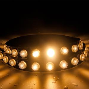 IP67 SMD2835 42pcs Flex Wall Washer Led Strip Light With Lens