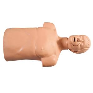 環境保護ポリ塩化ビニール CPR 操作の練習のための半ボディ救急処置の人体摸型