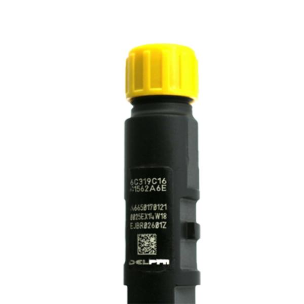 China Kyron 2.7L Xdi A6650170121 EJBR02601Z  Delphi Diesel Fuel Injectors wholesale