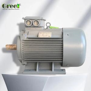 Cold Rolled Silicon Steel Sheet Iron Core Permanent Magnet Alternator for Industrial