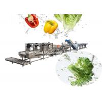 China 1000KG/H Salad Maker Machine Frozen Vegetable Okra Frozen Processing Line on sale