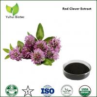 China anti cancer red clover extract p.e.,red clover flower extract for sale