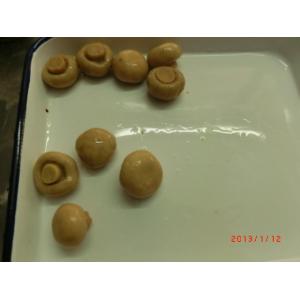 China Whole Shape Canned Champignon Mushroom With Rich Nutrition Short Lead Time supplier