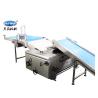 China Automatic Skywin Biscuit Machine Soft Biscuit Production Line Making Biscuit Commercial Biscuit Machine wholesale