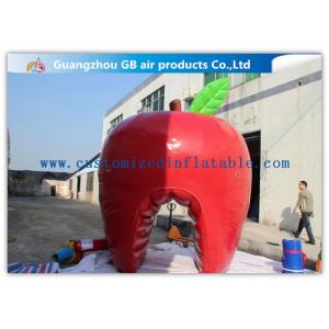 Fashionable Red Custom Inflatable Apple , Large Inflatable Advertising Products