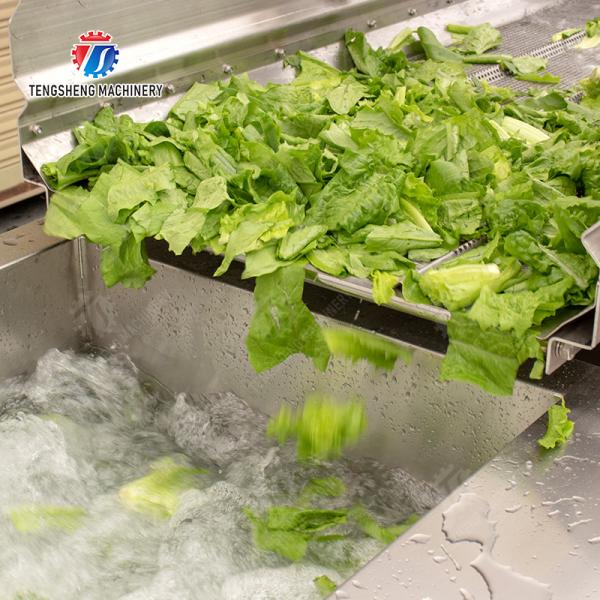 Máquina de exfoliación de frutas y verduras de plata modelo y durabilidad