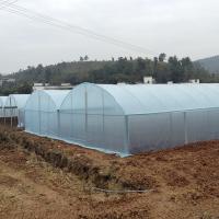 China Agriculture Plastic Film Multi Span Greenhouse Tomato Strawberry Hydroponic on sale