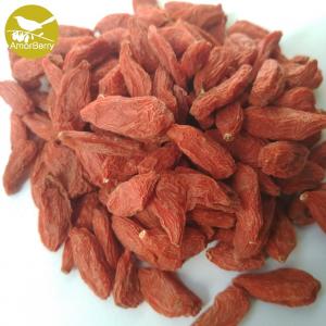 China Amorberry China NingXia dried Goji berry for tea or medicine use supplier