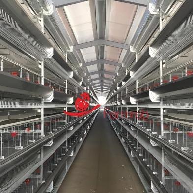 3-5 Tiers Layer Chicken Cage System Smart System with Al-Zn-Mg trough