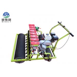 Gasoline Engine 8 Rows Green Salad Planter Machines Used In Agriculture