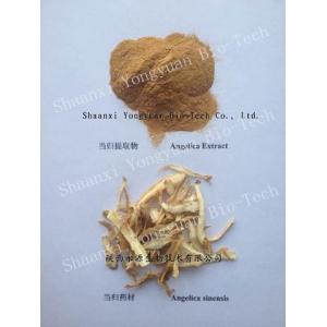 Dong Quai Extract, Ligustilide1%,CAS : 4431-01-0, Lovage Extract, Traditional Chinese herb Extract, Manufacture export