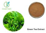 Brown Fine Green Tea Extract Powder Polyphenols Anti - Inflammatory