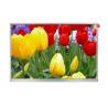 China IPS 10.1" Automotive LCD Panel , Multiscene LCD Panel For Car wholesale