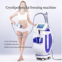 China Led Cryolipolysis Vacuum Machine Fat Cellulite Freezing Cavitation Weight Loss Vertical on sale