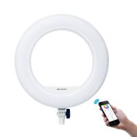 China 96w Beauty Live stream Photo Led Ring Light 18 Inch Bluetooth App With USD For Phone on sale