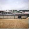 China 2m X 30m Horse Walker Rubber Mat Roll With Slip Resistant And Anti Bacterial Surface wholesale