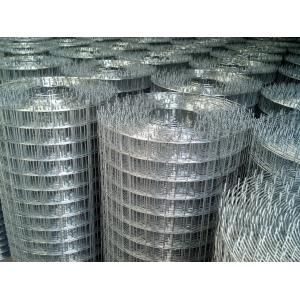 China 1/2inch/ 3/4inch/ 1inch electro galvanized welded mesh hot dipped galvanized welded mesh PVC coated welded wire mesh supplier