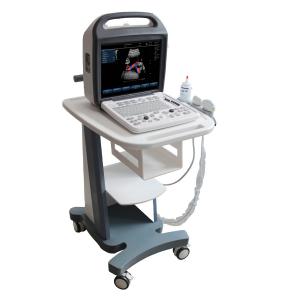 3D/4D Color Doppler,ultrasoundultrasonicolor dopplerscanner with convex probe SG-S1000