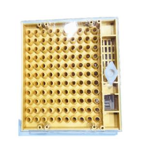 China Queen Rearing Cupkit Box Queen Rearing System Cupularve For Beekeeping supplier