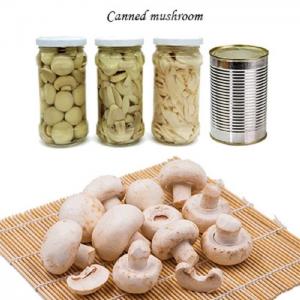 Champignon Mushroom Canned Fruits Vegetables Champing Mushroom Slices