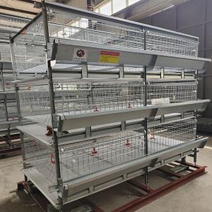 China Modern Farm 150 / 200 Birds Broiler Chicken Cage Q235A Steel Wire Material supplier