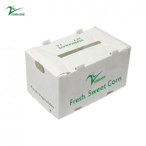 OEM Factory Produce PP Plastic Corrugated Box For   Fresh Sweet Corn  Broccoli Eggplant Ginger  Box
