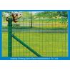 China Decorative Euro Panel Fencing For Park / Zoo / Lawn Easily Assembled wholesale