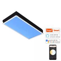 China Panneau de lucarne à télécommande LED 220V 60x120 Lumière du soleil artificielle durable on sale