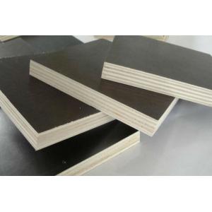 high quality phenolic film faced plywood for construction