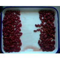 China Custom Size Canning Fresh Vegetables Premium Dark British Red Kidney Beans on sale