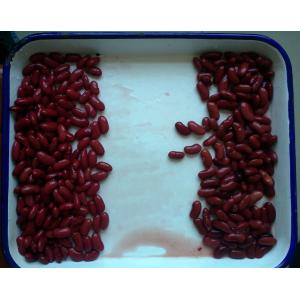 China Custom Size Canning Fresh Vegetables Premium Dark British Red Kidney Beans supplier