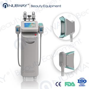 China 5 punhos Cryo que congela a máquina dando forma fresca gorda do emagrecimento do criolipolisis supplier