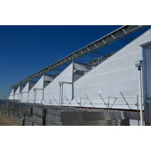 20%-90% Shading Rate Plastic Film Greenhouse Structure at Best