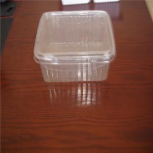 China Custom Order Accepted Tasteless PET Blister Plastic Fruit Clamshell Container supplier