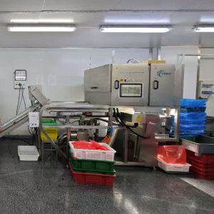 China AI sorting machine equipped with high-definition cameras, for Black Sliver Catalyst wholesale