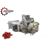 Multifunction Agricultural Food Washing Microwave Jujube Washing Equipment